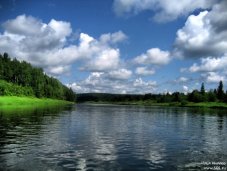    2009-